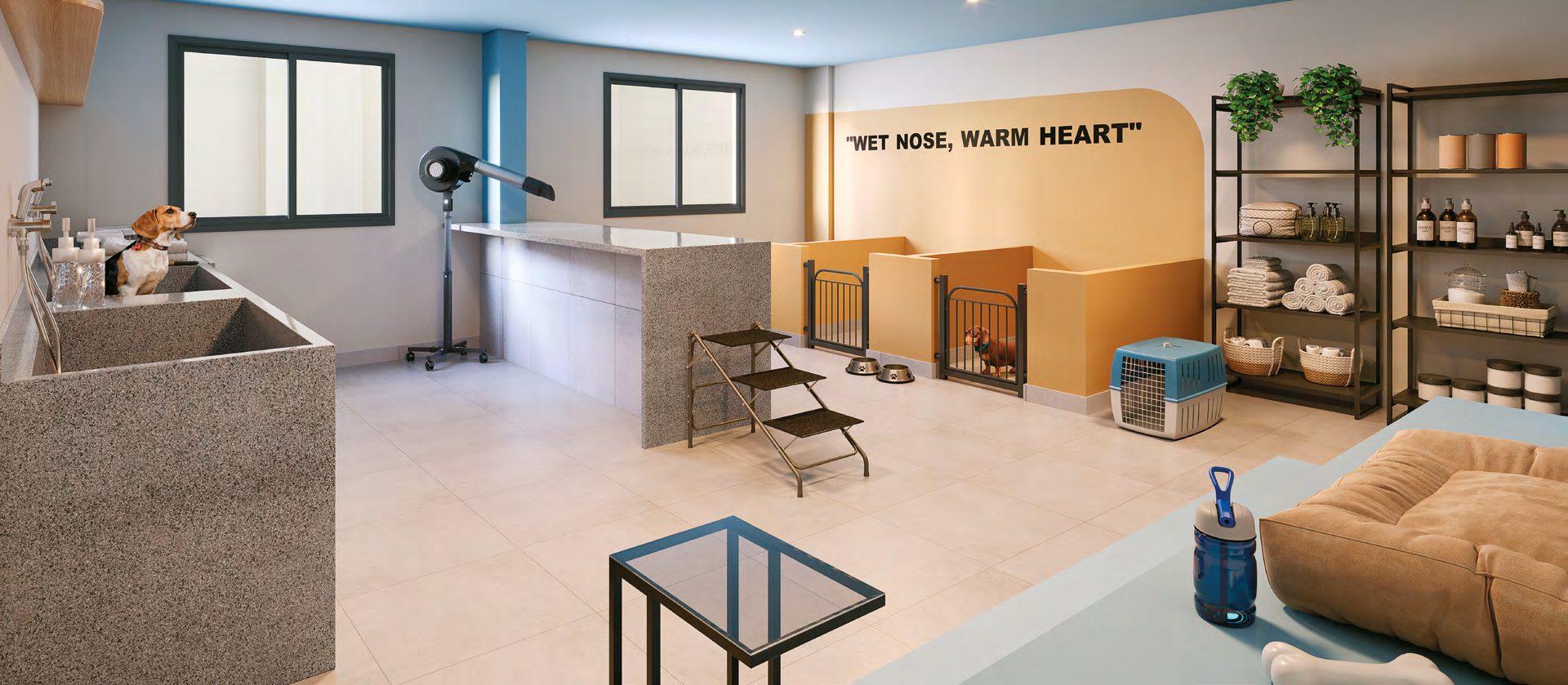 Pet Care